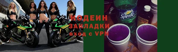 ECSTASY Гусь-Хрустальный