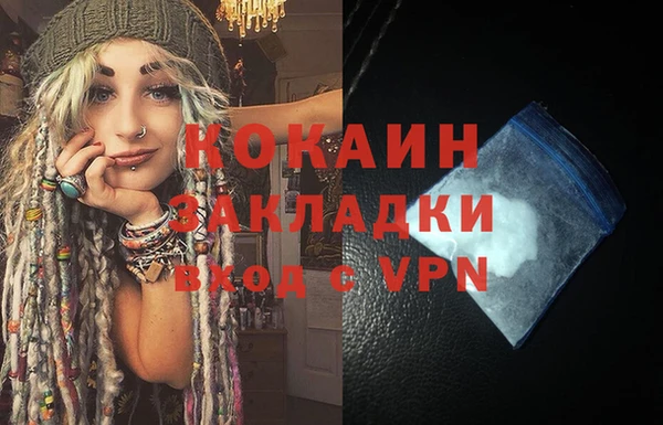 ECSTASY Гусь-Хрустальный