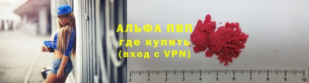 ECSTASY Гусь-Хрустальный