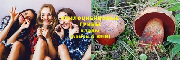 мяу мяу мука Гусев