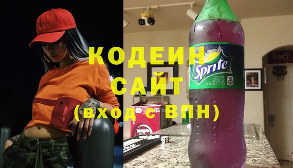 ECSTASY Гусь-Хрустальный