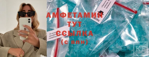 ECSTASY Гусь-Хрустальный