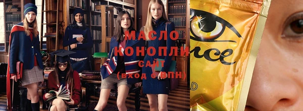 ECSTASY Гусь-Хрустальный