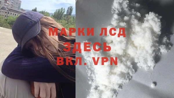 мяу мяу мука Гусев