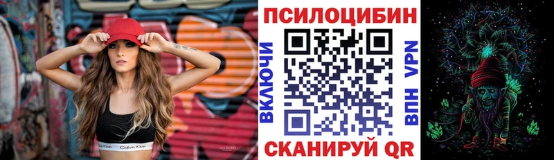 Галлюциногенные грибы GOLDEN TEACHER  наркотики  Махачкала 